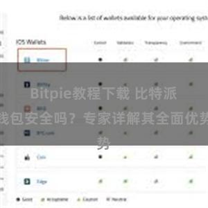 Bitpie教程下载 比特派钱包安全吗？专家详解其全面优势