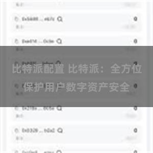 比特派配置 比特派：全方位保护用户数字资产安全