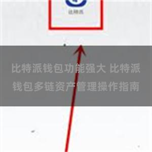 比特派钱包功能强大 比特派钱包多链资产管理操作指南