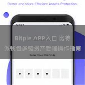 Bitpie APP入口 比特派钱包多链资产管理操作指南