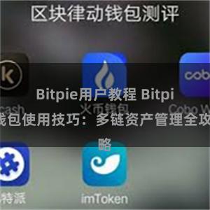 Bitpie用户教程 Bitpie钱包使用技巧：多链资产管理全攻略