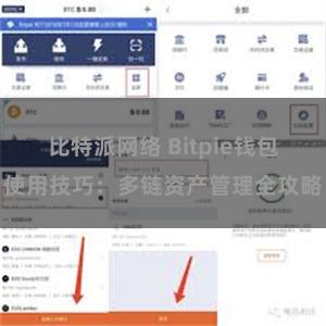 比特派网络 Bitpie钱包使用技巧：多链资产管理全攻略