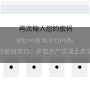 Bitpie资源 Bitpie钱包使用技巧：多链资产管理全攻略