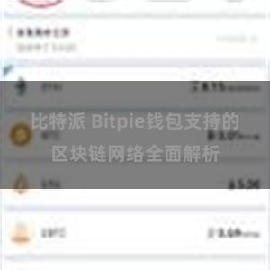 比特派 Bitpie钱包支持的区块链网络全面解析