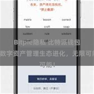 Bitpie隐私 比特派钱包：数字资产管理生态进化，无限可能！