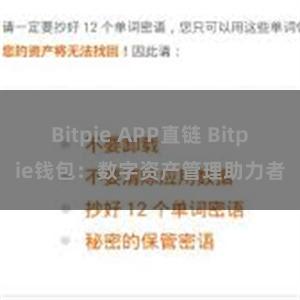 Bitpie APP直链 Bitpie钱包：数字资产管理助力者