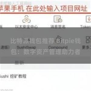 比特派钱包推荐 Bitpie钱包：数字资产管理助力者