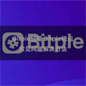 Bitpie轻量 Bitpie钱包常见问题解决方法