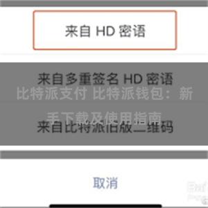 比特派支付 比特派钱包：新手下载及使用指南