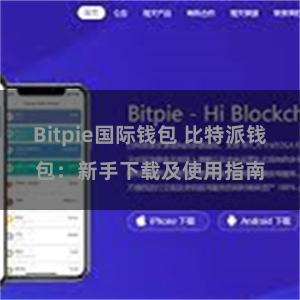 Bitpie国际钱包 比特派钱包：新手下载及使用指南