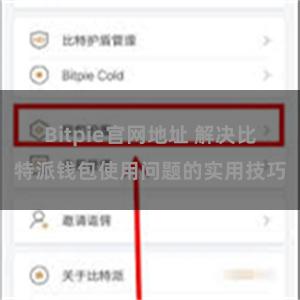 Bitpie官网地址 解决比特派钱包使用问题的实用技巧