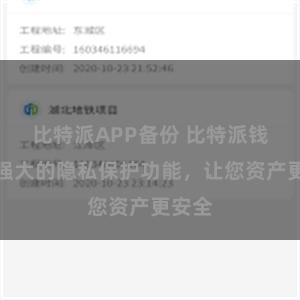 比特派APP备份 比特派钱包：强大的隐私保护功能，让您资产更安全