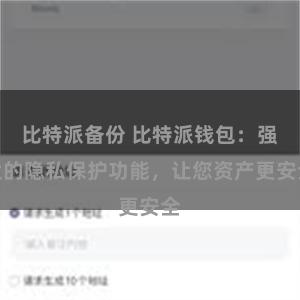 比特派备份 比特派钱包：强大的隐私保护功能，让您资产更安全