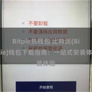 Bitpie热钱包 比特派(Bitpie)钱包下载指南：一站式安装体验