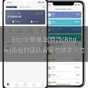 Bitpie教程 比特派(Bitpie)钱包的团队背景与技术实力