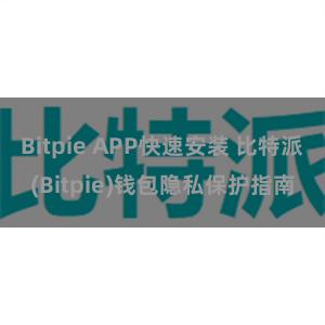 Bitpie APP快速安装 比特派(Bitpie)钱包隐私保护指南