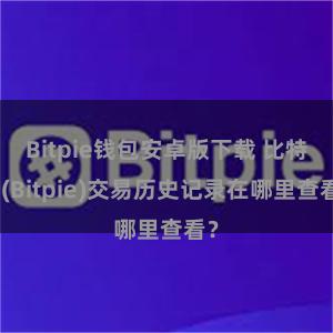 Bitpie钱包安卓版下载 比特派(Bitpie)交易历史记录在哪里查看？