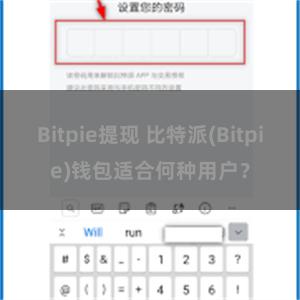 Bitpie提现 比特派(Bitpie)钱包适合何种用户？