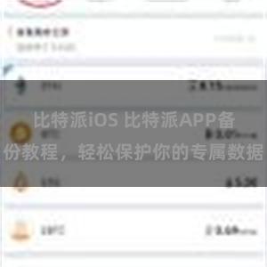 比特派iOS 比特派APP备份教程，轻松保护你的专属数据