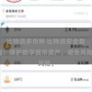比特派多币种 比特派安全教程：保护数字货币资产，避免风险。