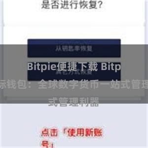 Bitpie便捷下载 Bitpie国际钱包：全球数字货币一站式管理利器