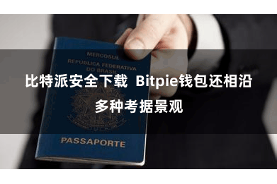 比特派安全下载  Bitpie钱包还相沿多种考据景观