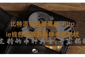 比特派钱包苹果版  Bitpie钱包还赈济多种考据形状