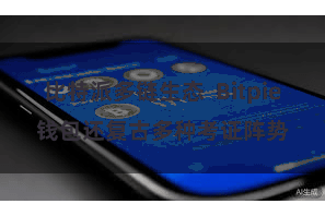 比特派多链生态  Bitpie钱包还复古多种考证阵势