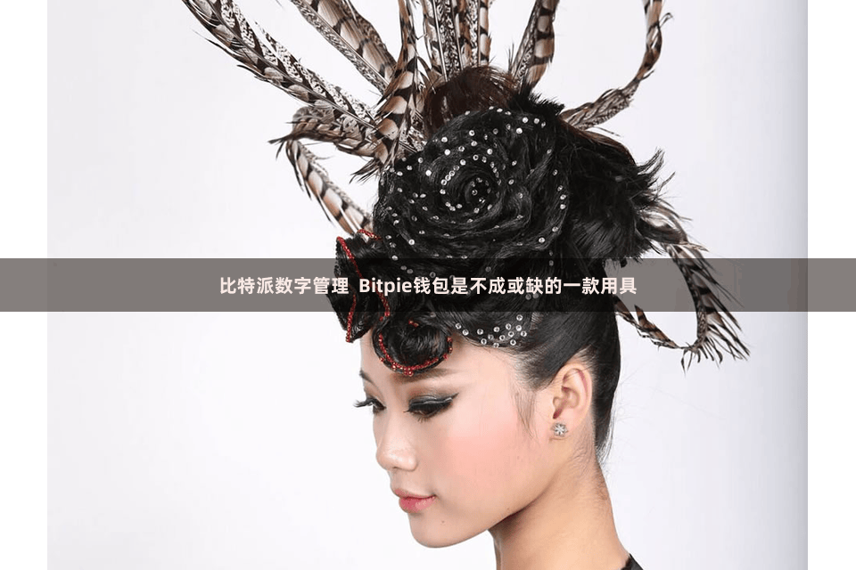 比特派数字管理 Bitpie钱包是不成或缺的一款用具