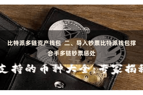比特派多链资产钱包 二、导入钞票比特派钱包撑合手多链钞票惩处