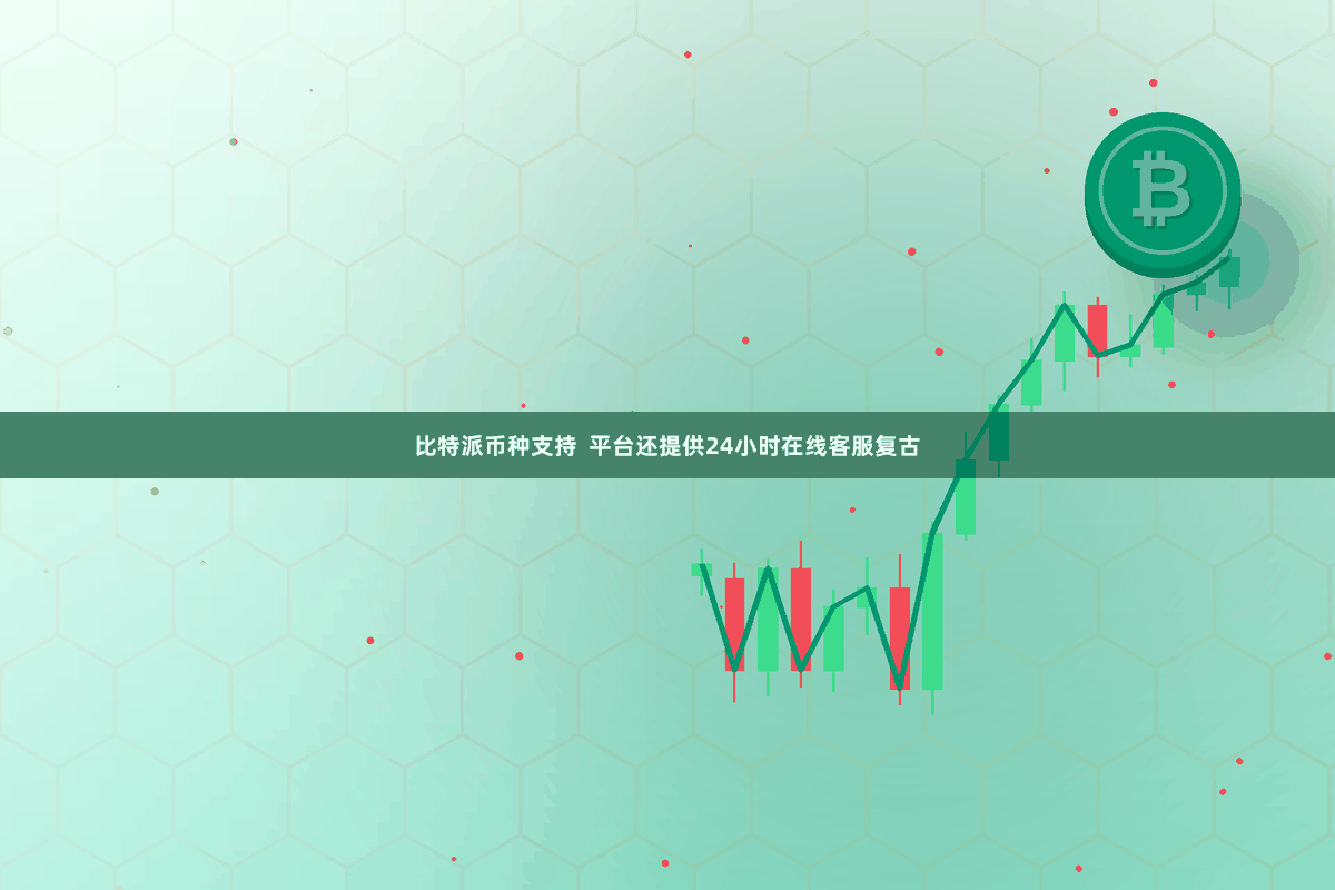 比特派币种支持 平台还提供24小时在线客服复古