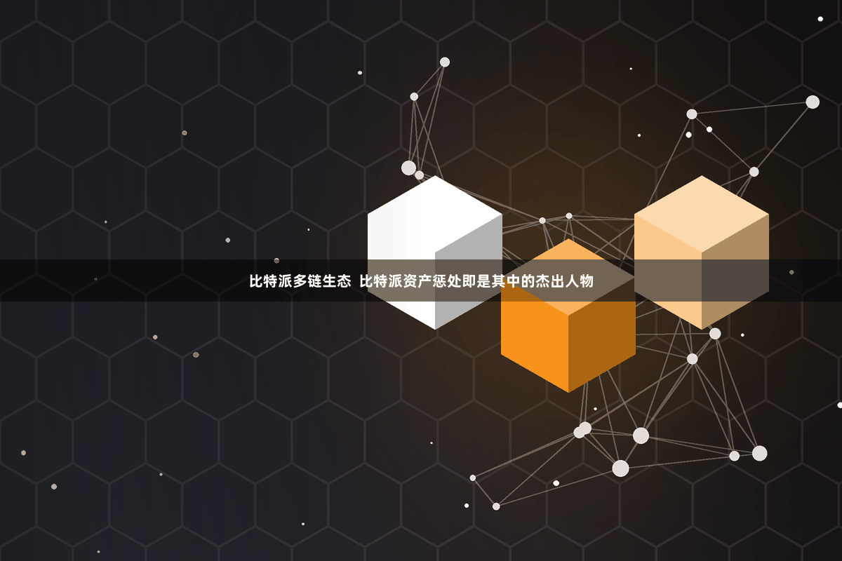 比特派多链生态  比特派资产惩处即是其中的杰出人物